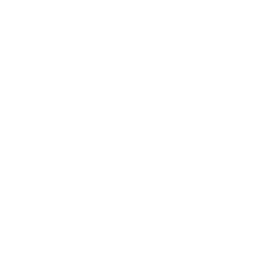 Leading Edge Tech Icon