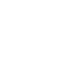 Team with Flag grey Icon