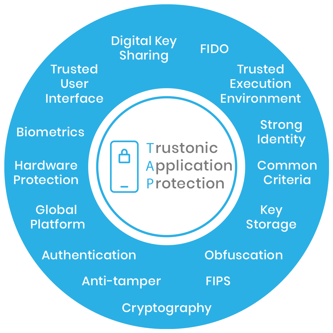 Automotive cyber security application protection