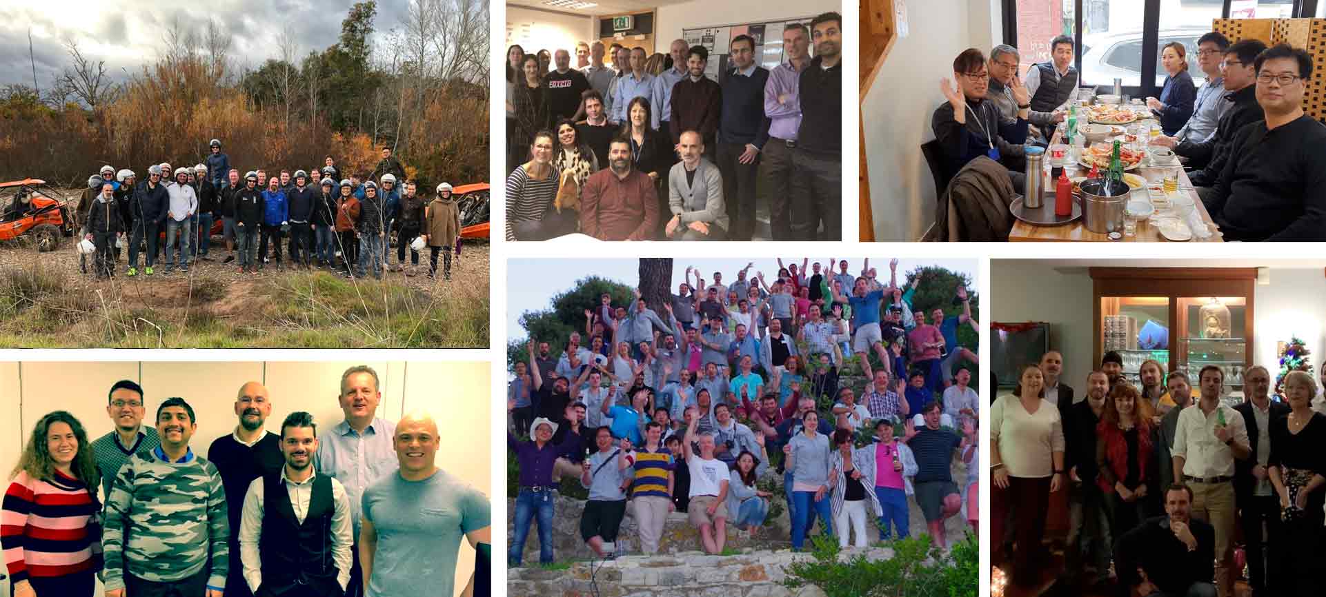 Our brilliant team of professionals