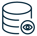 Secure Database Storage Icon